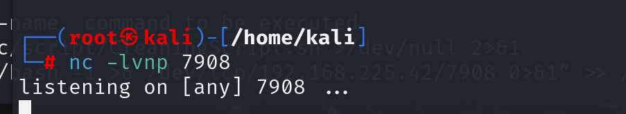 image-20240728172948318