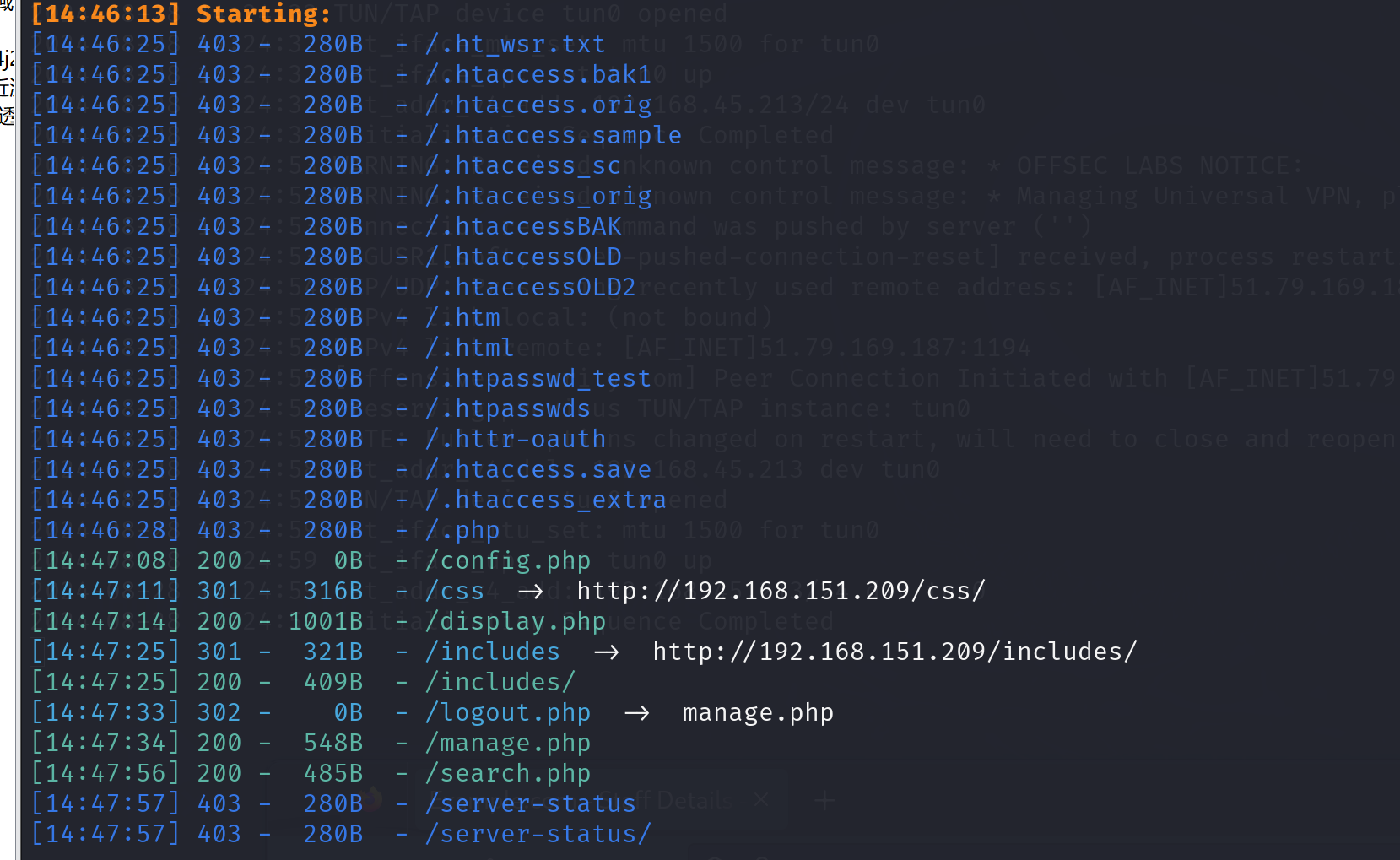 image-20240828144928441
