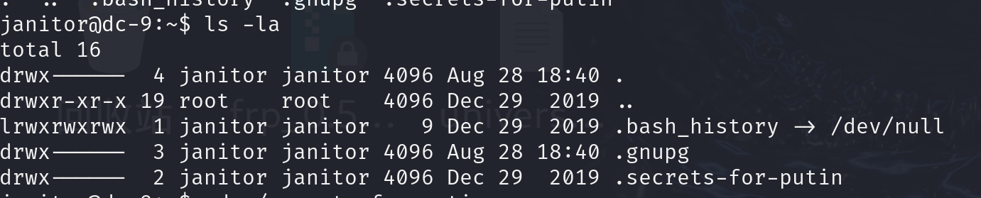 image-20240828164253645
