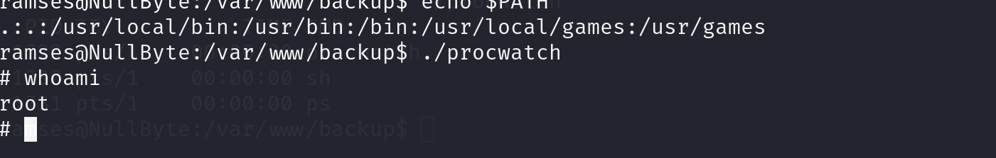 image-20241013164657858